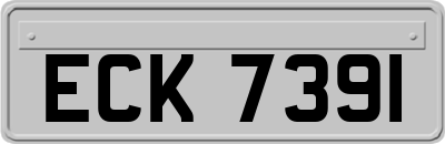 ECK7391