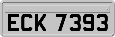 ECK7393