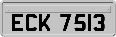 ECK7513