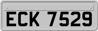ECK7529