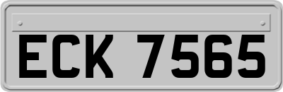 ECK7565