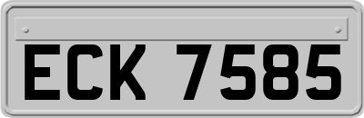 ECK7585