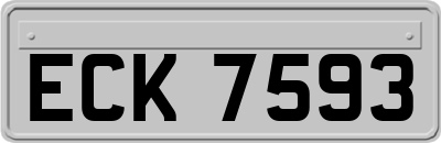 ECK7593