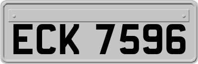 ECK7596