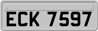ECK7597