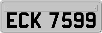 ECK7599
