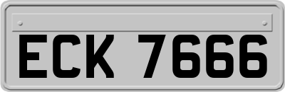 ECK7666