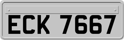 ECK7667