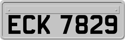 ECK7829