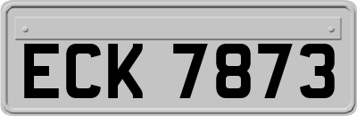 ECK7873