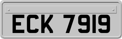 ECK7919