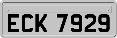 ECK7929