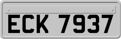 ECK7937