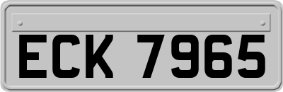ECK7965