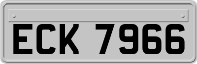 ECK7966