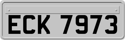 ECK7973