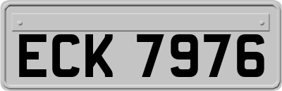 ECK7976