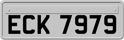 ECK7979