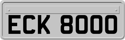 ECK8000