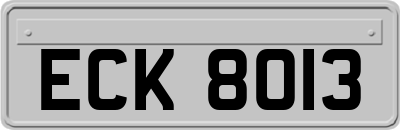 ECK8013
