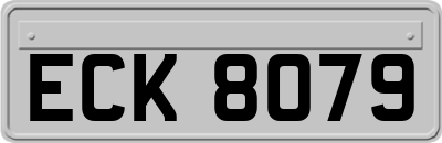 ECK8079