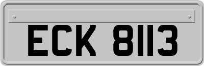 ECK8113
