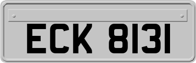 ECK8131