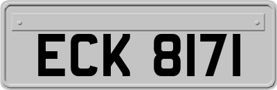 ECK8171