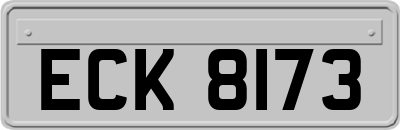 ECK8173