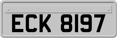 ECK8197