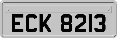 ECK8213