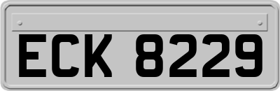 ECK8229