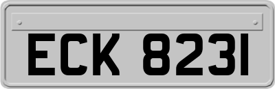 ECK8231