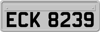 ECK8239