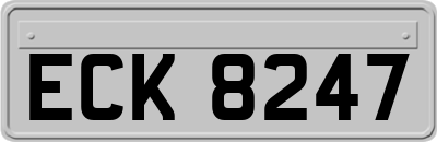 ECK8247