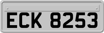 ECK8253
