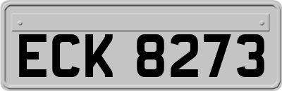 ECK8273