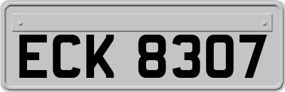 ECK8307