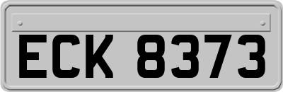 ECK8373
