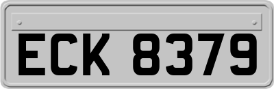 ECK8379