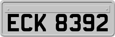 ECK8392