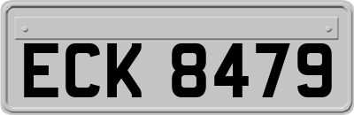 ECK8479