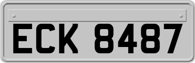 ECK8487