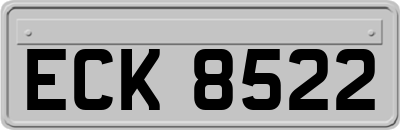 ECK8522