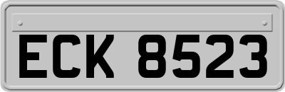 ECK8523