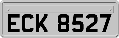 ECK8527