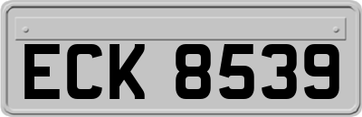 ECK8539