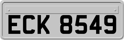 ECK8549