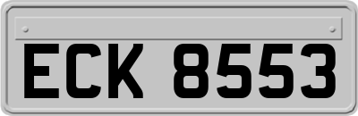 ECK8553