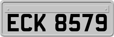 ECK8579